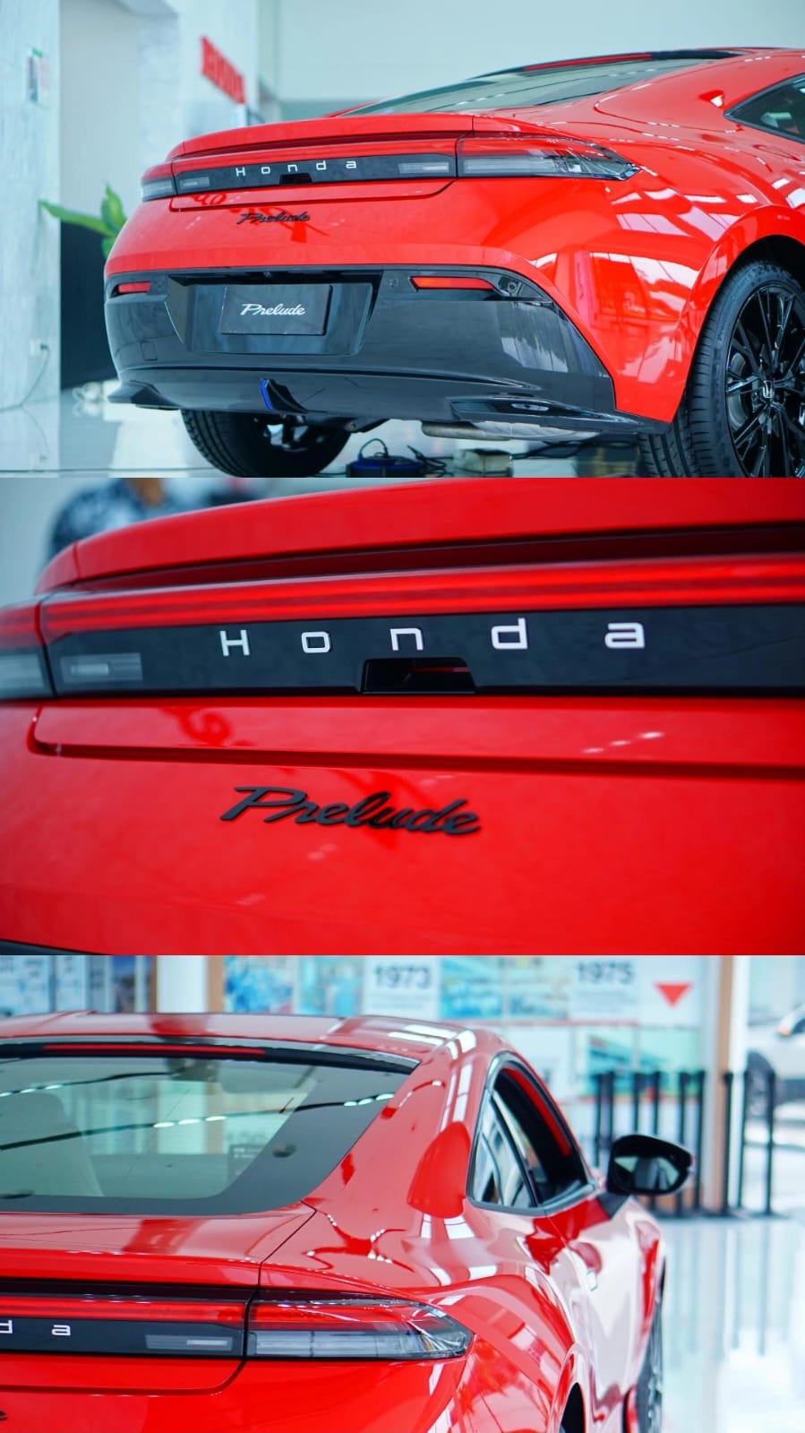 WhatsApp Image 2026-02-06 at 08.43.50 (1)